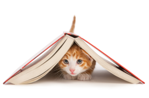 Cat under book 380x250.png
