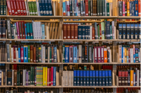 Many books on library shelf